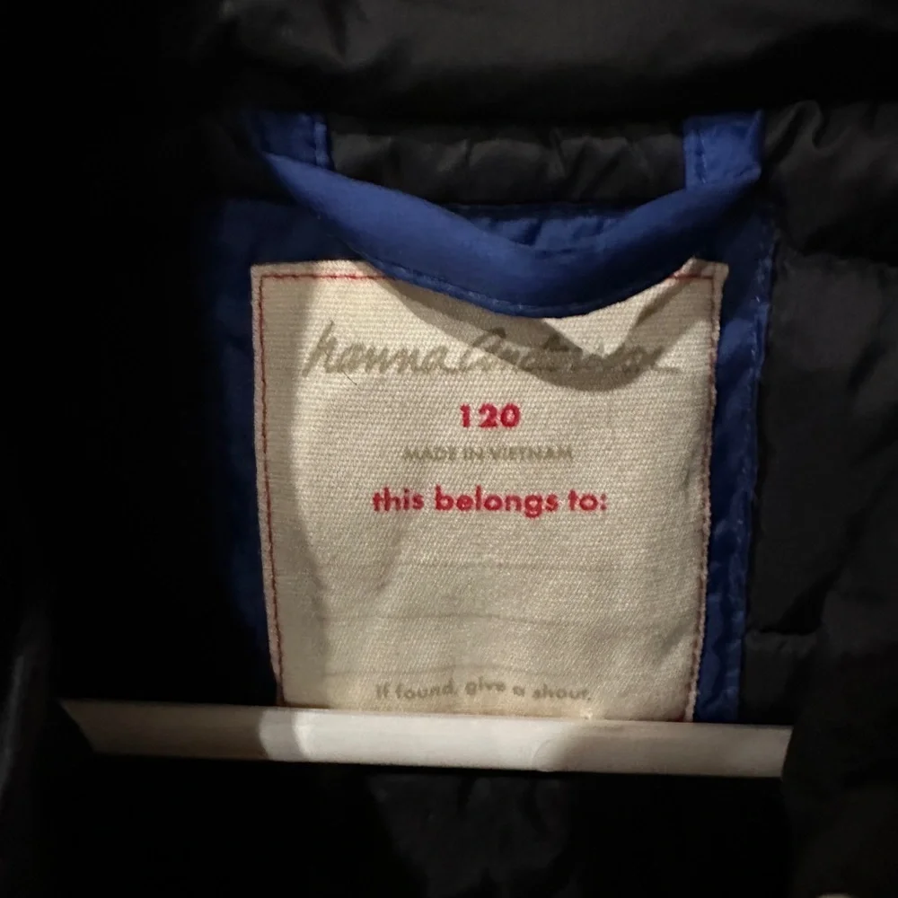 Black Puffer Vest with Blue Lining